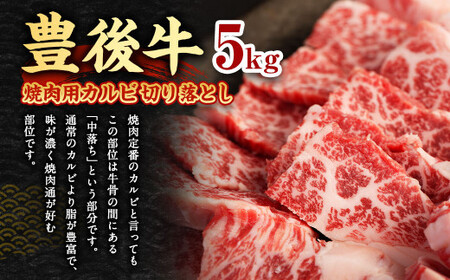 【大分県産】 豊後牛 焼肉用 カルビ 切り落とし 約5kg (約500g×10パック) 牛肉 中落ち