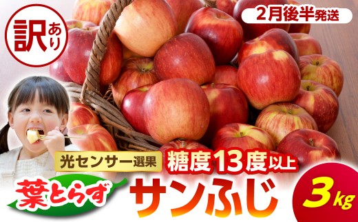 【2027年2月後半発送】【訳あり】青森県産葉とらずサンふじりんご約3kg
