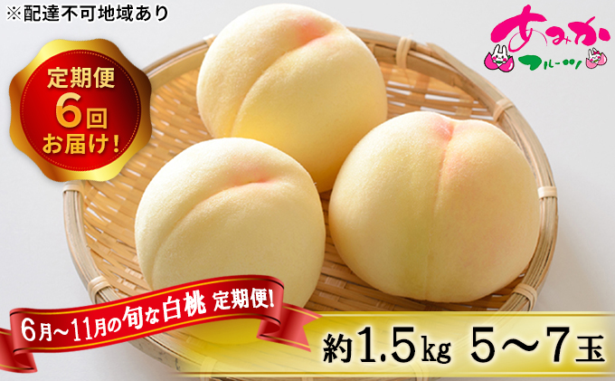 桃 定期便 2026年 先行予約 6月～11月 の旬な 白桃 定期便！約1.5kg 5～7玉 6回お届け！ もも モモ 岡山県 赤磐市産 国産 フルーツ 果物 ギフト あみかフルーツ 柔らかい ジューシー 少し固め 甘み 