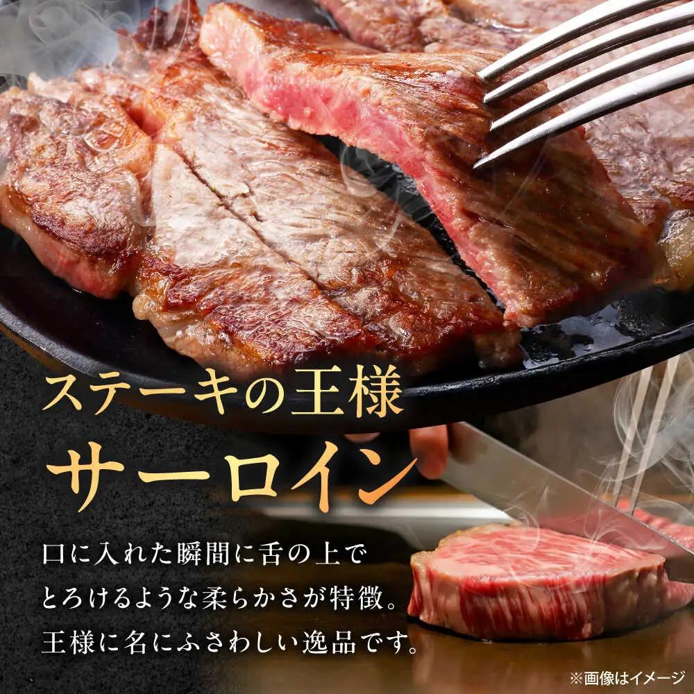 【6回定期便】 佐賀牛 サーロインステーキ 300g ステーキ [UEM018]