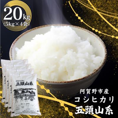 ふるさと納税 阿賀野市 【令和7年産】コシヒカリ　どーんと20kg!「米屋のこだわり阿賀野市産」
