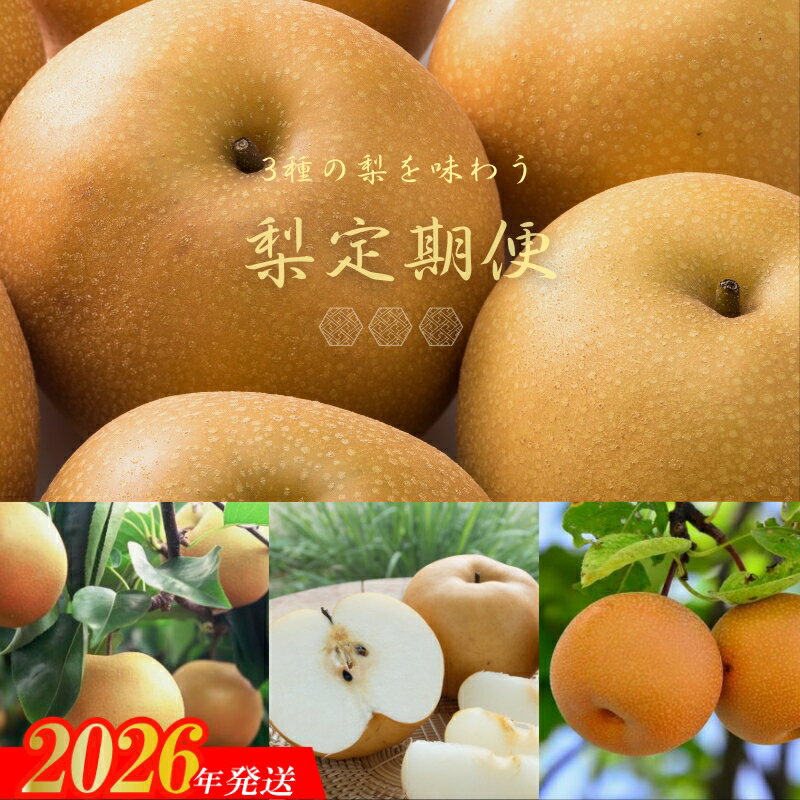【ふるさと納税】No.2535梨の3品種定期便【2026年発送】