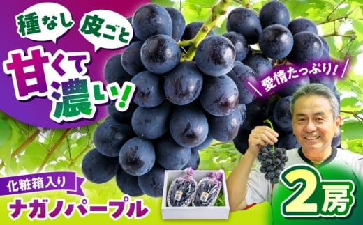 【先行予約】 ぶどう ナガノパープル 2房（約800g～1.2kg） 箱入り ブドウ 葡萄 房 大粒 種なし 皮ごと 食べれる ギフト 贈答用 甘い 果実 旬 果物 フルーツ 新鮮 熊本県 熊本 山鹿市 山鹿市産 箱入り 産地直送 [ZDS003]
