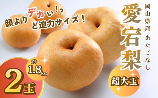 あたご梨 2玉 約1.8kg 岡山県産 大玉 梨 愛宕梨 和梨 フルーツ【2026年11月下旬～12月下旬発送予定】