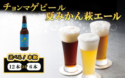 
            【選べる！】城下町・萩の地ビール／夏みかん萩エール　｜HGH00005
          