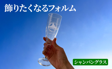 サザンＣグラスセット  タンブラー ビールグラス シャンパングラス 選べる2個セット B(烏帽子×烏帽子)