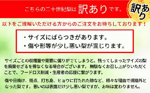 12-20  訳あり 梨 20世紀梨 5kg（10～18玉）サイズバラつき有り（L～5L）9/9が最終受付です