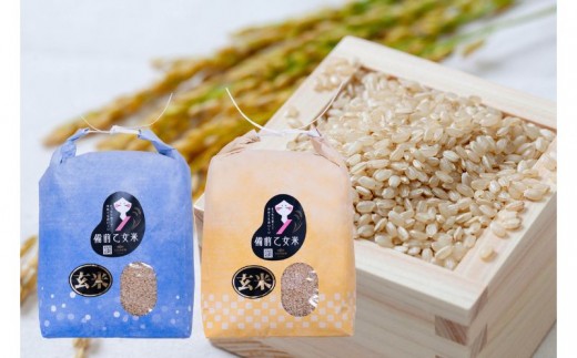 
                  令和8年産 新米 先行予約 備前乙女米 玄米 5kg×2袋 岡山県産 | 米 お米 玄米 特A きぬむすめ 石原果樹園 【ishk047-01】
                