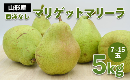 山形市産 西洋なし(マリゲットマリーラ) 秀 5kg(7玉～15玉) 【令和6年産先行予約】FS23-729