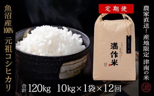 【2025年産新米】【12ヶ月定期便】元祖魚沼産コシヒカリ 10kg(10kg×1袋)