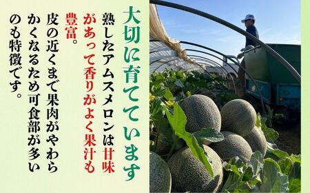 銚子産 アムスメロン  3玉(1玉約1.8〜2.0kg未満)  弥兵衛のアムスメロン メロン 糖度16度 メロン メロン