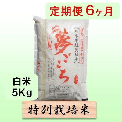 【ふるさと納税】定期便 6カ月【 令和8年産 】毎月 白米 5kg【 夢ごこち 】　お届け：2026年10月中旬以降発送