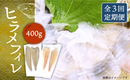 【全3回定期便】ヒラメフィレ 約400g（1尾・1kg台前後）《壱岐市》【なかはら】 [JDT036] ヒラメ ひらめ フィレ 柵 刺身 刺身ブロック 刺し身 切身 冷凍 海鮮 海鮮丼 78000 78000円 冷凍配送 九州