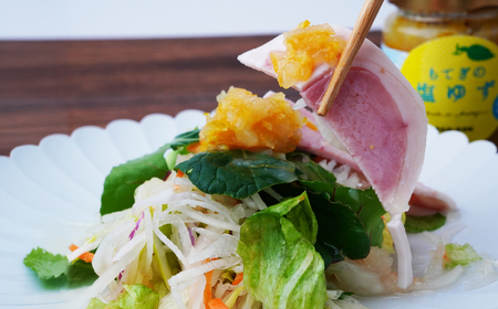 茂木産ゆずを使用！ 塩ゆず 140g×4本保存料・着色料・香料不使用 | ゆず ゆず ゆず ゆず ゆず