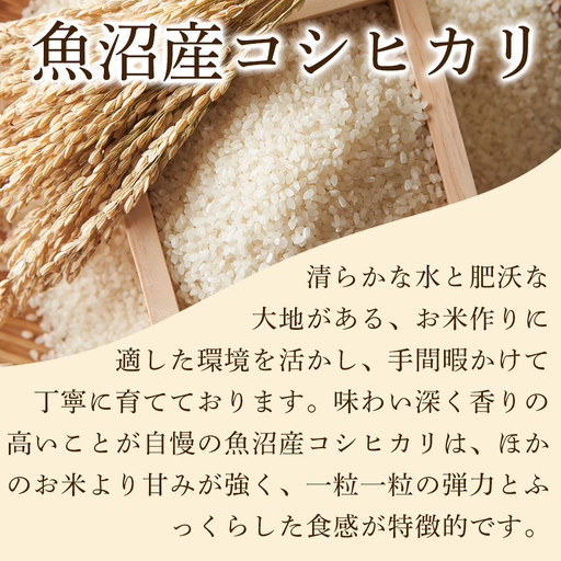 【4ヶ月定期便】魚沼産コシヒカリ 特選米 5kg(5kg×1袋) | 津南町 魚沼 令和7年