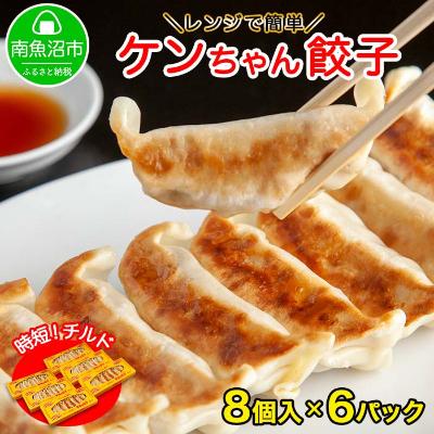 ふるさと納税 南魚沼市 新潟県 南魚沼市 チルド手焼き餃子 8個入り × 6パック 計48個 ケンちゃん餃子