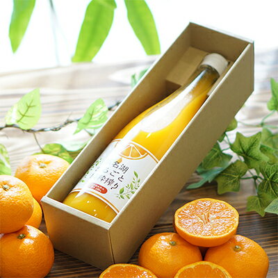 【ふるさと納税】三ヶ日みかんジュース「浜名湖まるごと純粋搾り」720ml 1本【静岡 三ヶ日 みかん ジュース】 果汁飲料 野菜飲料 フレッシュ