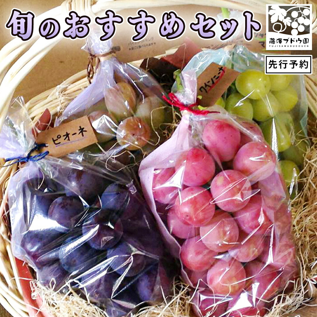 【ふるさと納税】【 藤澤ブドウ園 】 旬 の おすすめ セット 約2.5kg 2025年産 先行予約 ぶどう 葡萄 巨峰 高級 シャインマスカット