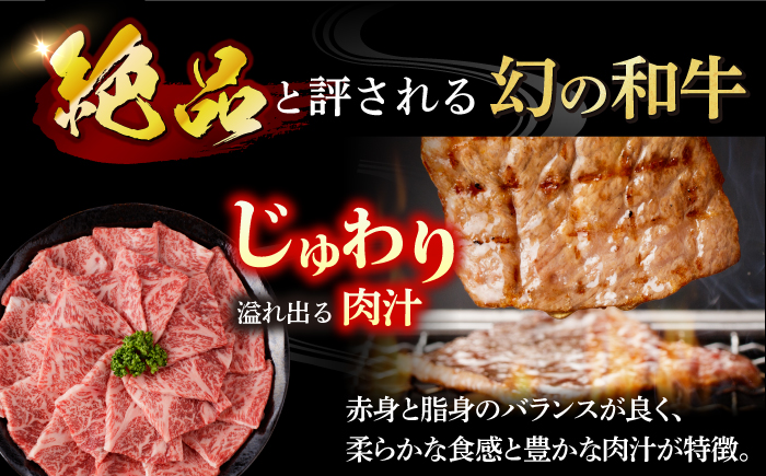 【幻の和牛！とろける肉汁がたまらない…！】 五島牛 特選 カルビ 400g 2人前 【カミティバリュー】 [RBP013]