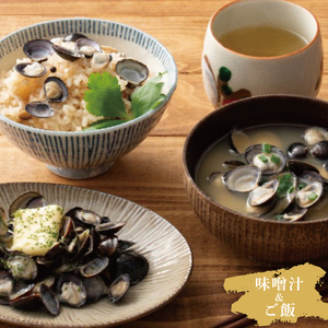【5ヶ月定期便】涸沼産冷凍しじみ中粒２kg（100g×20p）（CA-12）