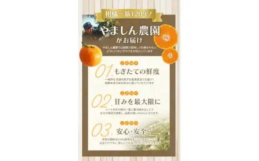 【2026年11月発送予約分】【農家直送】こだわりの有田みかん 8kg＋150g(傷み補償分)  有機質肥料100%  サイズ混合　【11月発送】/ミカン 蜜柑 柑橘 フルーツ くだもの 果物 温州 