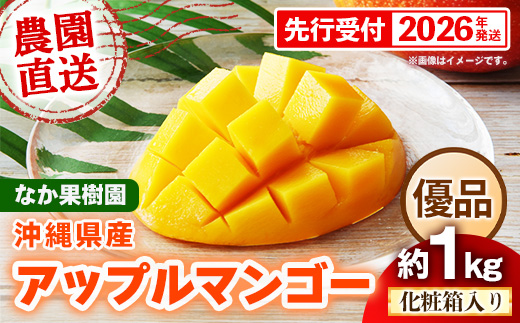 【化粧箱入り】【先行受付・2026年発送】なか果樹園 アップルマンゴー 優品 約1kg - 産地直送 先行予約 沖縄県産 贈り物 ギフト プレゼント 南国フルーツ 旬の味覚 オススメ 沖縄県 八重瀬町