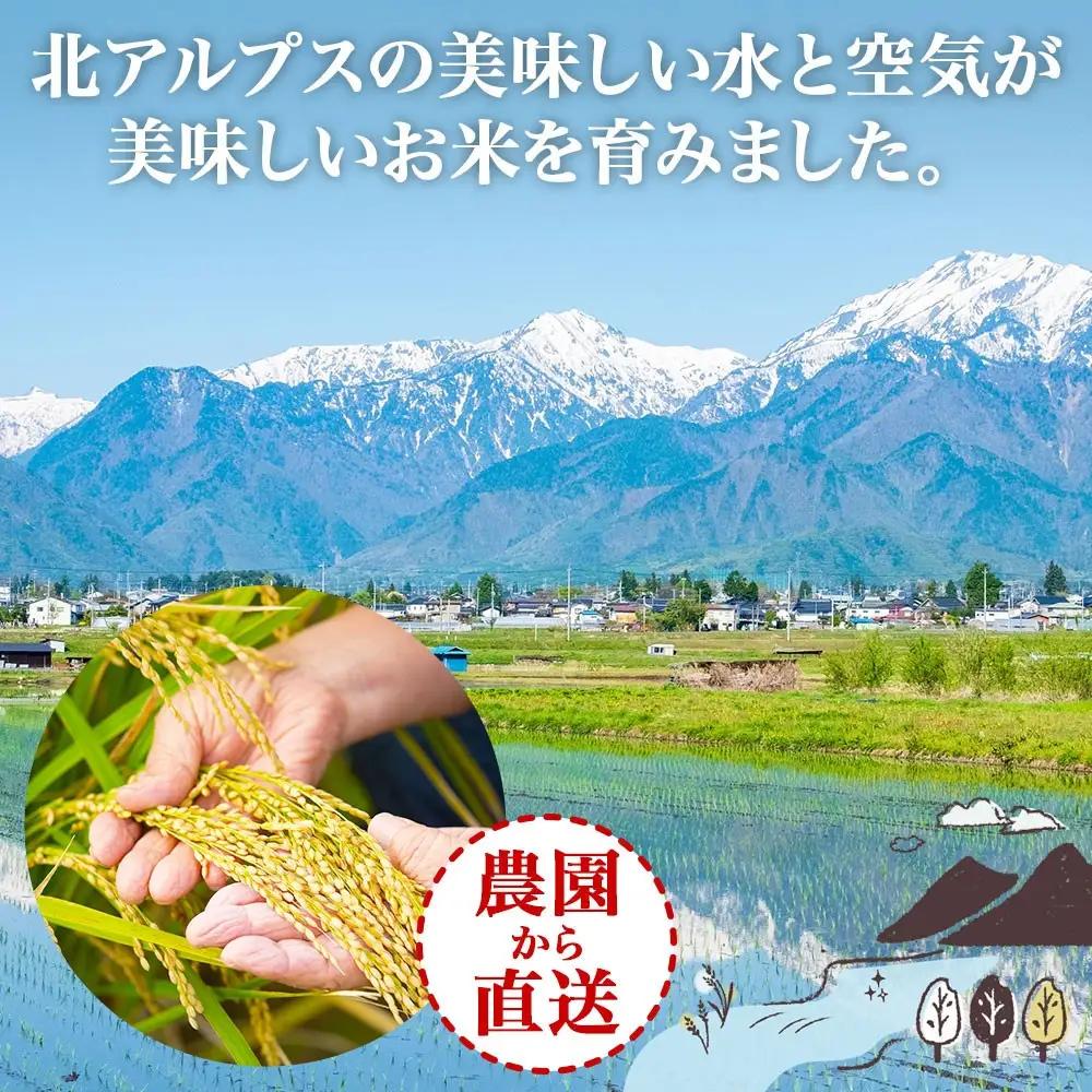 【2026年10月発送】令和8年産 つきあかり 無洗米 10kg×1袋 長野県産 米 精米 お米 ごはん ライス 甘み 農家直送 産直 信州 人気 ギフト お取り寄せ 平林農園 送料無料 長野県 大町