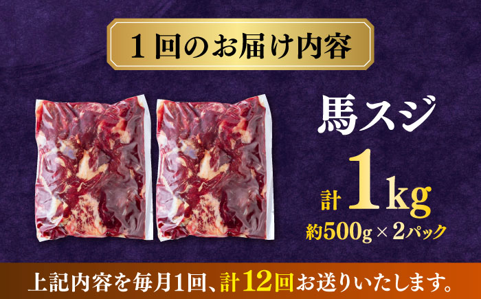 【全12回定期便】馬スジ 1kg (　500g × ２ ) 【合同会社　長岡フーズ】 [ZFR028]