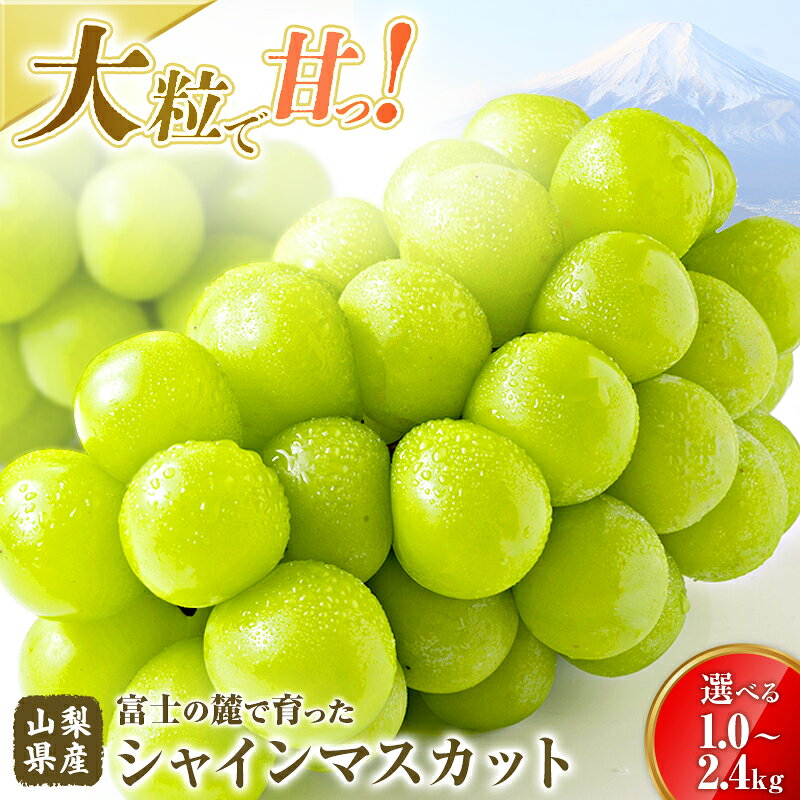 【ふるさと納税】 シャインマスカット 約1.0kg〜最大2.4kg 山梨県産 選べる4容量 2027年 先行予約 クール便 フルーツ 果物 ぶどう ブドウ 葡萄 シャイン マスカット 産地直送 山梨県 都留市