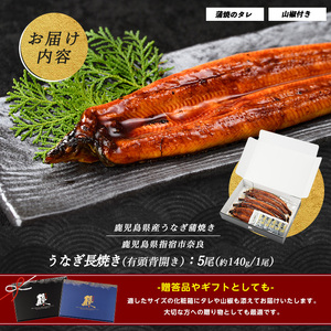 うなぎ 鹿児島県産 うなぎ 蒲焼 5尾 約700g IB020-002