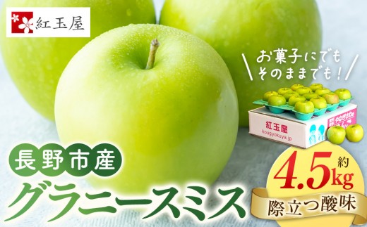 
                  紅玉屋　際立つ酸味！ 長野市産 グラニースミス 約4.5kg （お菓子作り・酸っぱいりんご好き専用） 希少品種 林檎 クッキングアップル |  りんご 林檎  フルーツ 果物  青りんご お菓子作り ギフト 人気 おすすめ 送料無料 長野県 長野市 信州 信濃 ふるさと納税
                