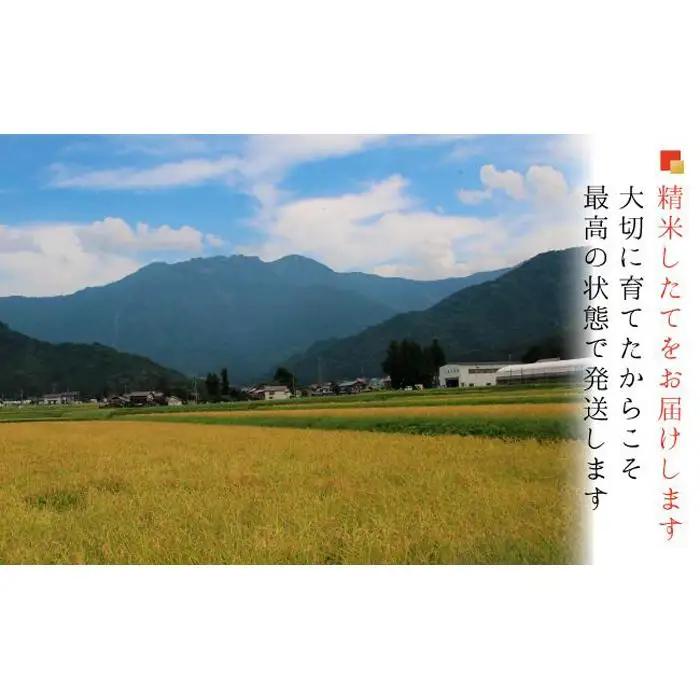 【令和７年産】【令和７年産】南魚沼産コシヒカリ 白米１０ｋｇ 【５割減農薬栽培米】城内農産【銘柄米 ブランド米 精米 こしひかり コシヒカリ 魚沼産 新潟米 産地直送 お米 米 こめ コメ ご飯 御飯