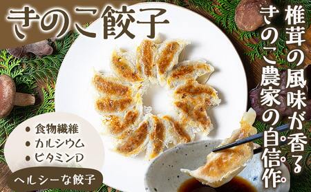香り立つ!!「きのこ餃子」120個_16-8701_(都城市) ギョウザ 12個入り 10パック 無農薬栽培 椎茸 きくらげ 都城産ブランド豚 きなこ豚 きゃべつ ニラ ニンニク使用 ヘルシー餃子 大