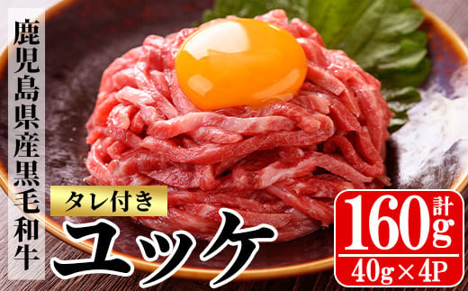 鹿児島県産黒毛和牛 ユッケ(計160g・40g×4P・タレ付き) 牛肉 肉 黒毛和牛 国産 国産牛 九州 鹿児島 鹿児島県産 生食 ユッケ 冷凍 小分け こわけ タレ付き 便利 ギフト【バクロ】【A-2042H】