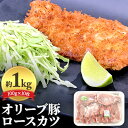 【ふるさと納税】《旨味・甘味が違う》オリーブ 豚ロース 1kg トンカツ用 真空パック 10枚セット(100g×10枚)　【 豚肉 とんかつ 赤身のうま味 脂の甘味 ポーク 国産 冷凍 豚丼 焼き豚 豚ロースステーキ ローストポーク 豚の角煮 バーベキュー スライス 焼豚 】