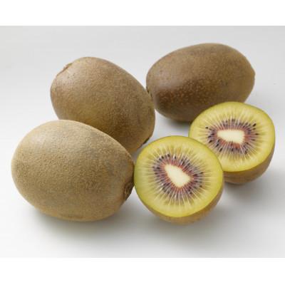 ふるさと納税 小豆島町 【さぬき讃フルーツ】さぬきエンジェルスイートキウイ 化粧箱入り 約1kg