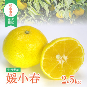 【先行予約】媛小春 2.5kg 家庭用 | みかん みかん みかん みかん みかん【YBN001】