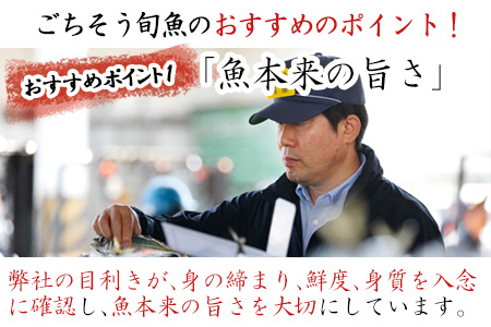 玄あじ玄さば釣り赤むつとしめ鯖のご馳走セット 5種11枚2尾 セット 干物 しめ鯖 まるごと おかず ギフト 昭徳