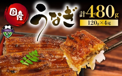 【2026年7月23日～7月26日にお届け】 土用の丑の日 ！ うなぎ 国産 蒲焼 120g × 4尾 計480g 鰻蒲焼 ウナギ 土用 丑の日  JAS認定 活鰻 特製無添加たれ 山椒 ギフト 贈答 冷凍 養殖 真空パック レンジ 調理 湯煎 まとめ買い 静岡県 藤枝