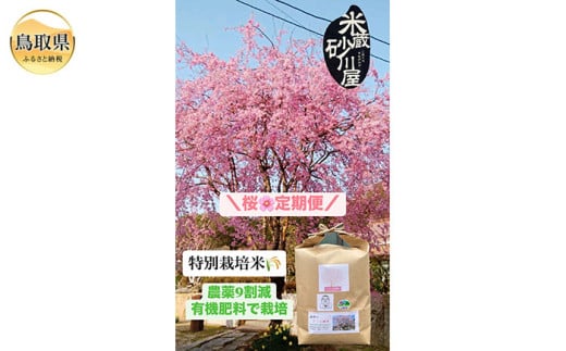 C25-013 【定期便3回】桜定期便【数量限定】