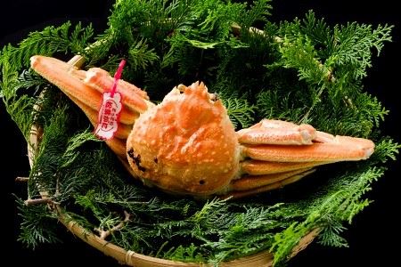 83．【先行予約】鳥取県産　タグ付き浜茹で松葉がに　400g以上×2枚