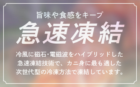 【先行予約】越前かに本場よりお届け！越前せいこがに 甲羅盛り「身出し」5杯セット 丼だし5個付 冷凍活〆浜ゆで！美味しさそのまま次世代冷凍プロトン凍結！食べたい時に解凍 「冷凍重量1個80g程度」【2