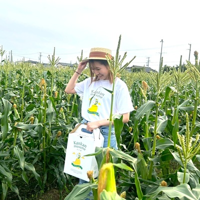 【2026年6月～7月順次発送】とうもろこし 約5kg 甘々娘(訳あり) 朝採り スイートコーン【配送不可地域：離島・沖縄県】