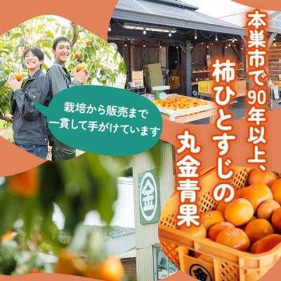 ふるさと納税 本巣市 丸金青果 富有柿 2Lサイズ (12個入) 低温追熟【甘みがきわだつ、低温追熟した富有柿をお届け!】 |  | 03