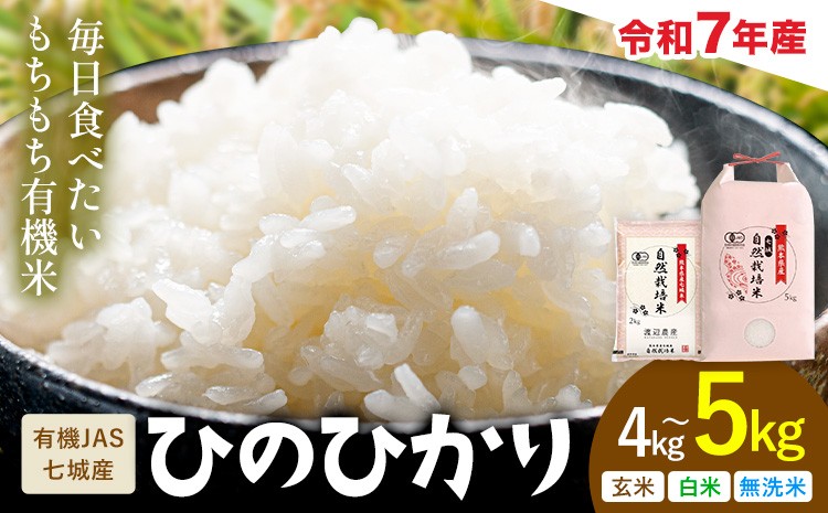 
                  令和7年産 有機JAS 七城産ひのひかり 選べる精米方法 玄米 白米 無洗米 選べる内容量 4kg 5kg 渡辺農産《30日以内に出荷予定(土日祝除く)》熊本県 菊池市 米 お米 精米 ひのひかり 菊池市産 熊本県産 九州産 送料無料
                
