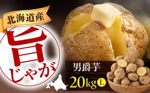 【先行予約】 じゃがいも 男爵芋 20kg 《喜茂別町》【Aコープようてい】 じゃがいも いも 芋 ジャガイモ イモ 野菜 男爵 北海道 ポテト 国産 産地直送 旬 お取り寄せ 常温 [AJAK009]