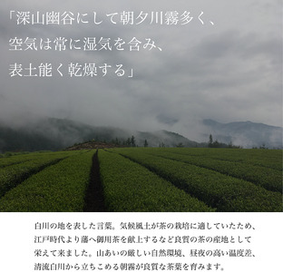 白川茶を3種飲み比べ！ 白川茶 詰め合わせセット お茶 煎茶 緑茶 日本茶 茶葉 贈答 ギフト プレゼント 12000円
