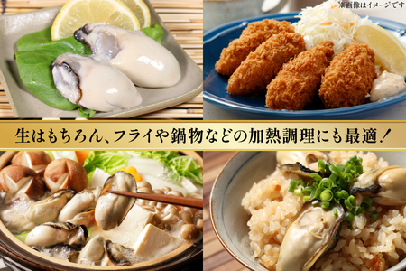 牡蠣 むき身 極粒旨かき 生食用 500g 1p 【期間限定発送】