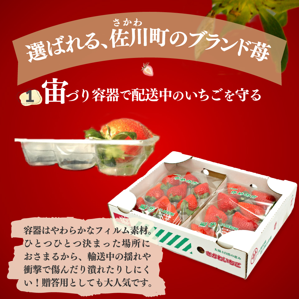 ＜2026年1月頃～3月頃発送（予定）＞【ゆめのか 285g×4パック】秀品 いちご イチゴ 苺 ストロベリー 贈答用 ギフト 佐川町産