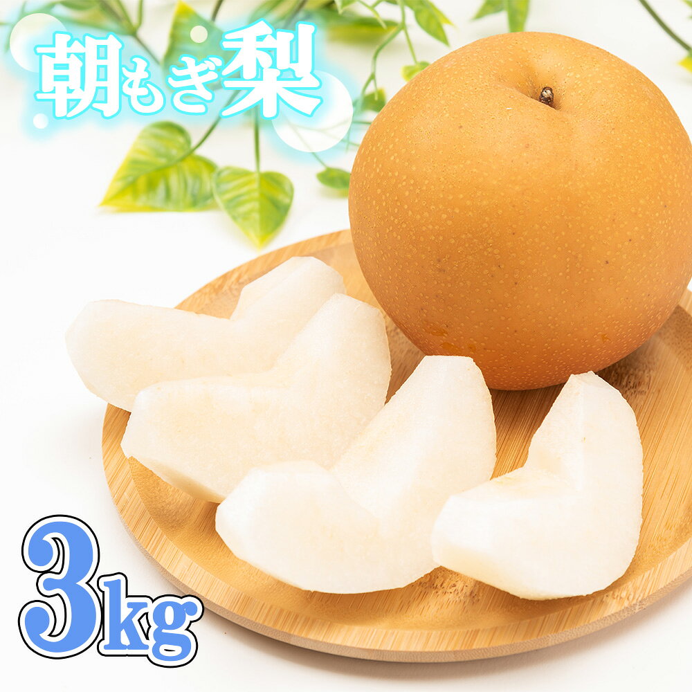 【ふるさと納税】R9先行予約 幸水・豊水・あきづき 約3kg 100年の歴史！！アライファームの「朝もぎ梨」